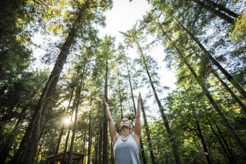 newquay-surf-yoga-woodland-wild-camp