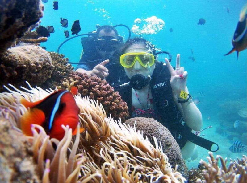 nha-trang-3-island-vip-tour