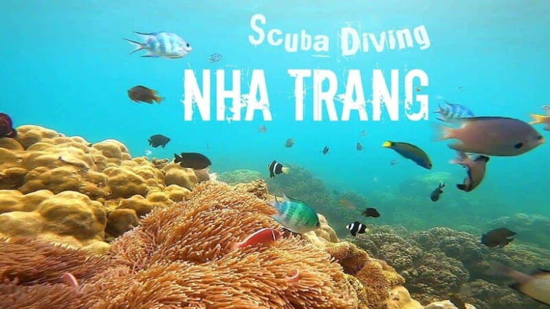nha-trang-scuba-diving-and-eco-tourism-island-day-trip
