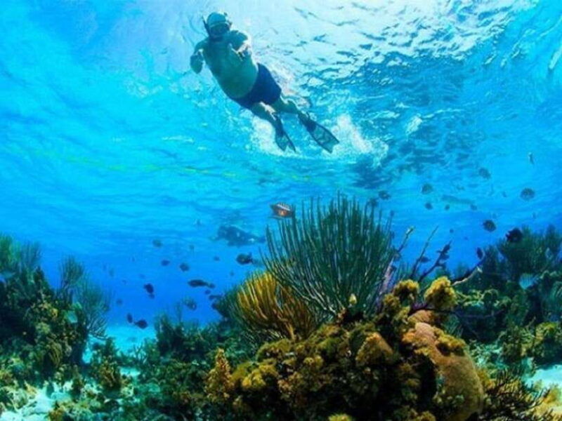 nha-trang-snorkeling-at-marine-park-with-lunch
