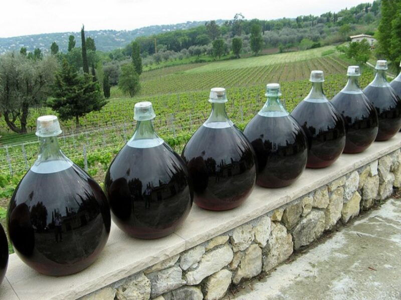 nice-half-day-saint-paul-de-vence-and-wine-tasting-tour