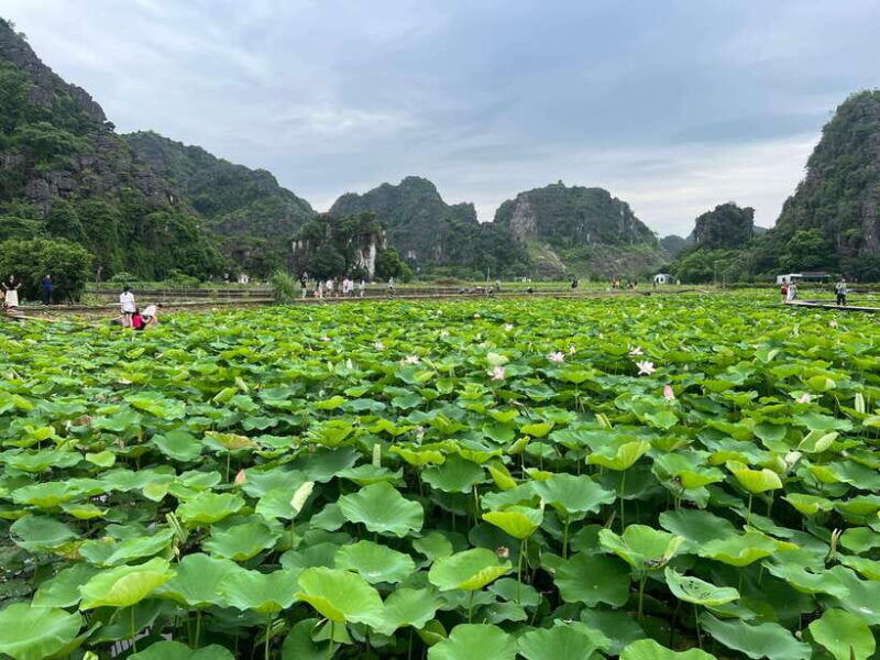 ninh-binh-and-cuc-phuong-national-park-2-day-private-tour