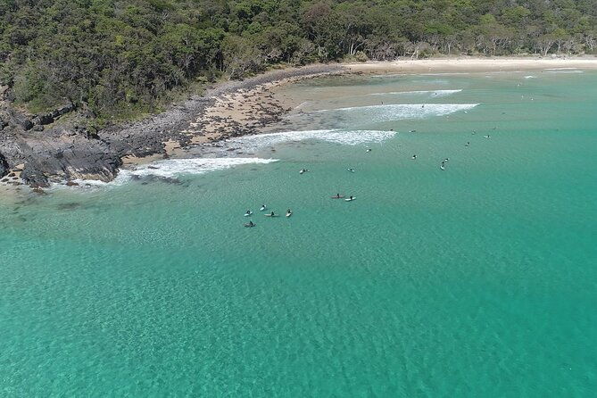 Noosa National Park & Dolphin adventure - Why Youll Love This Experience