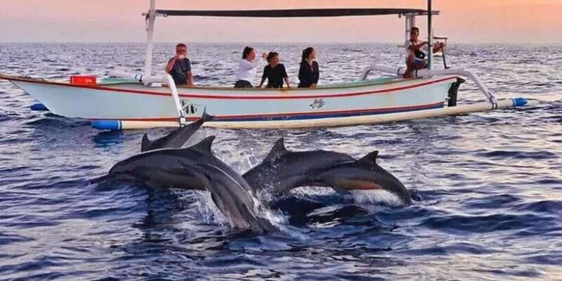 north-bali-lovina-sunrise-watching-dolphin
