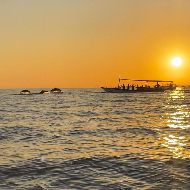north-bali-lovina-watching-dolphins-and-sunrises-tour