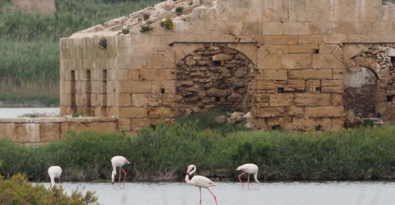 noto-guided-trekking-and-birdwatching-at-vendicari-reserve