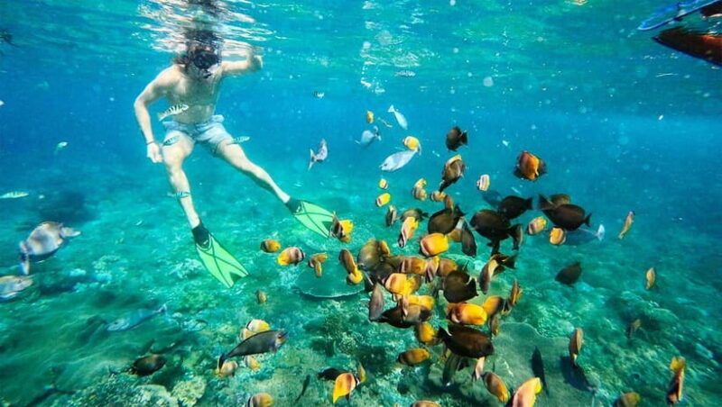 nusa-penida-afternoon-private-manta-safari-snorkeling