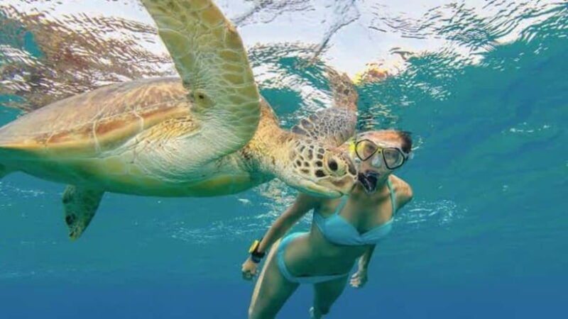 nusa-penida-snorkeling-at-manta-point-and-west-coast-tour