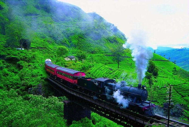 nuwara-eliya-guided-tour-with-tea-factory-visit