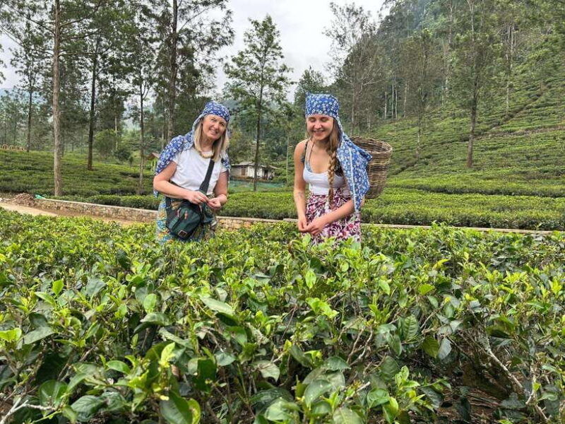 nuwara-eliya-private-sightseeing-tuk-tuk-tour
