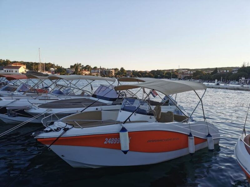oki-barracuda-545-356kk