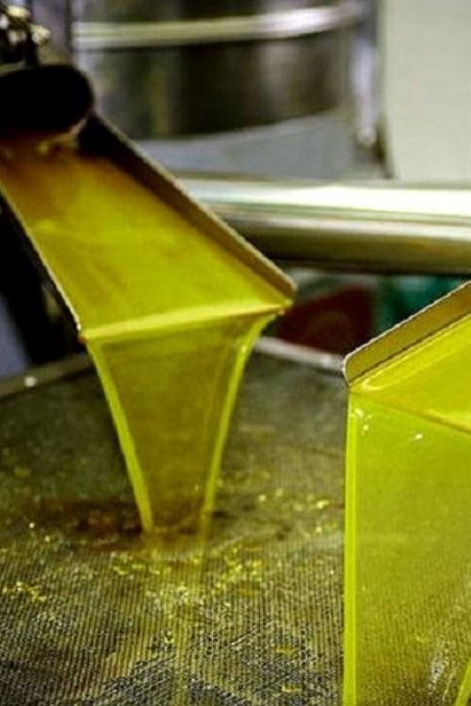 olive-oil-tasting-3-hour-trip-from-chania-souda-cruise-port