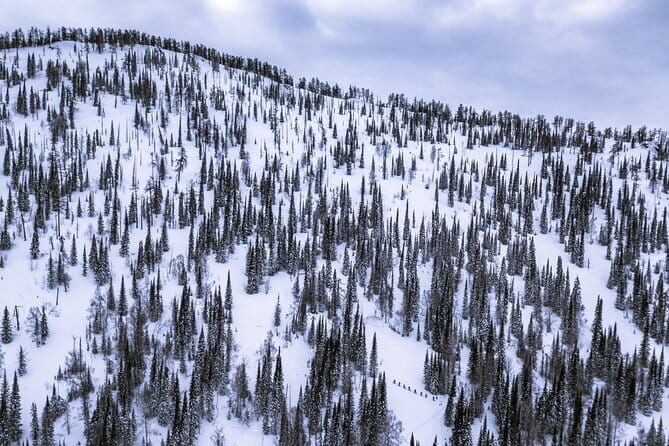 One Day Ski Tour Near Almaty - Who Is This Tour Best For?
