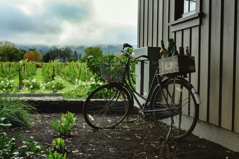 one-day-winery-tour-with-wine-tasting-and-cheese-snack