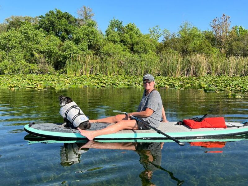 orlando-paddle-with-pups-in-paradise-paddleboard-or-kayak