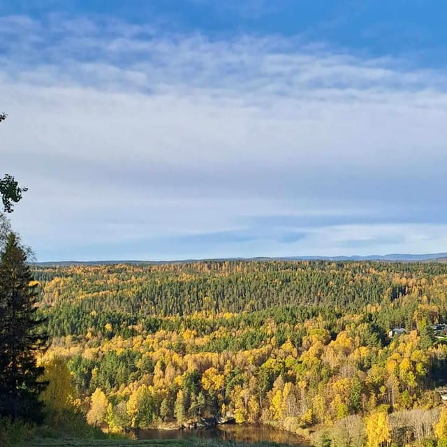 oslo-scenic-hike-with-dog-local-guide