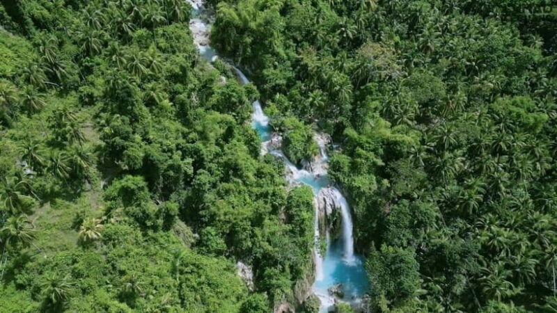 oslob-whale-sharks-inambakan-falls-moalboal-sardines