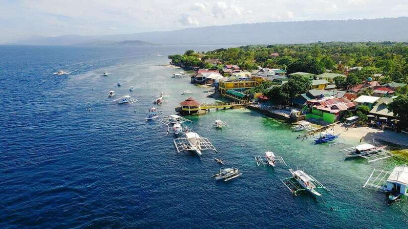 oslob-whale-sharks-tumalog-falls-monkey-sanctuary-tour