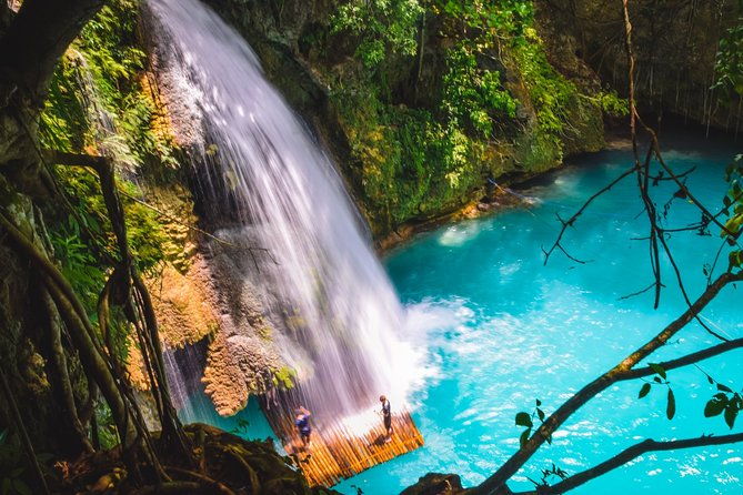 Oslob Whaleshark and Kawasan Falls Tour - Real Traveler Insights