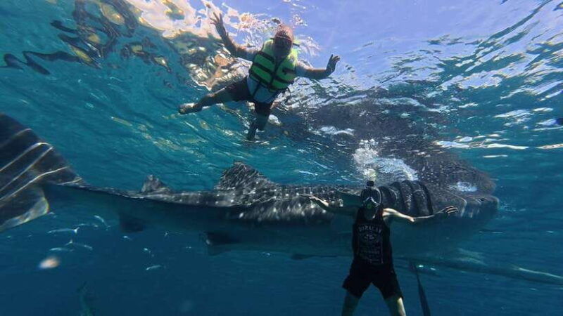oslob-whaleshark-watching-kawasan-falls-canyoneering