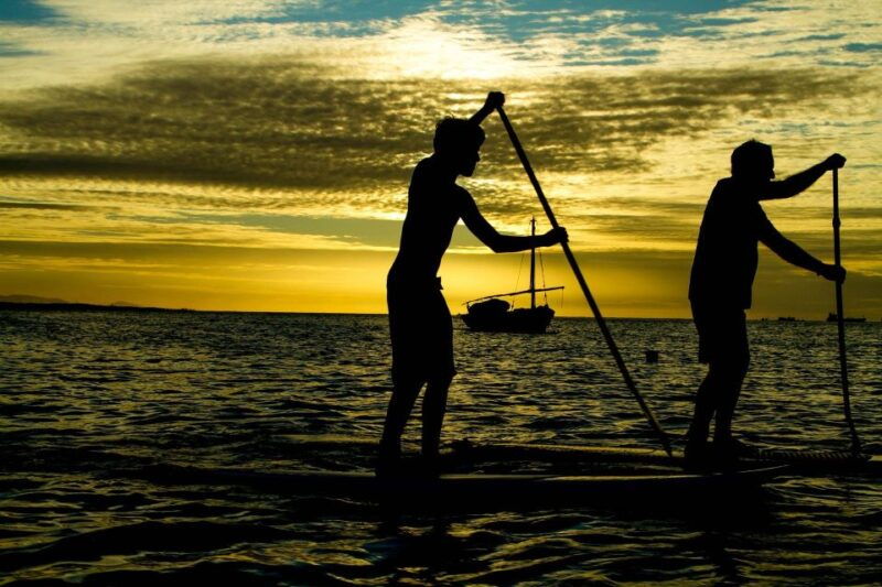 paddle-board-rental-glide-on-the-water-with-ease