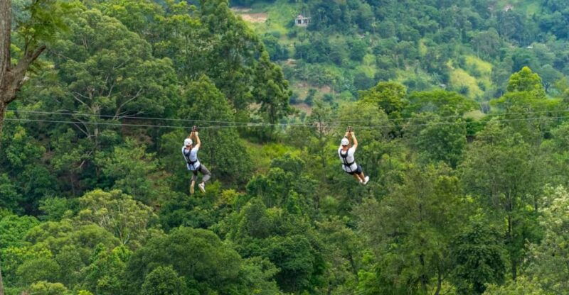 pai-jungle-ziplining-adventure-with-16-platforms