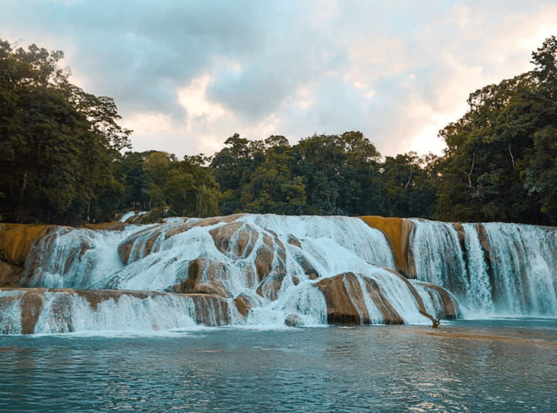 palenque-roberto-barrios-waterfall-tour