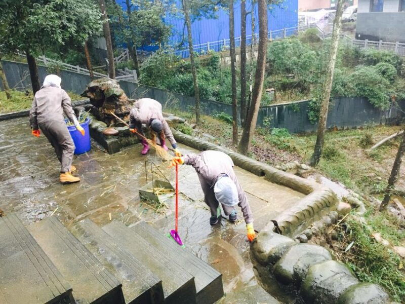 panda-volunteer-project-day-tripwolong-du-jiang-yan