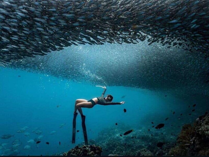 panglao-freediving-adventure-with-sardine-run-photos