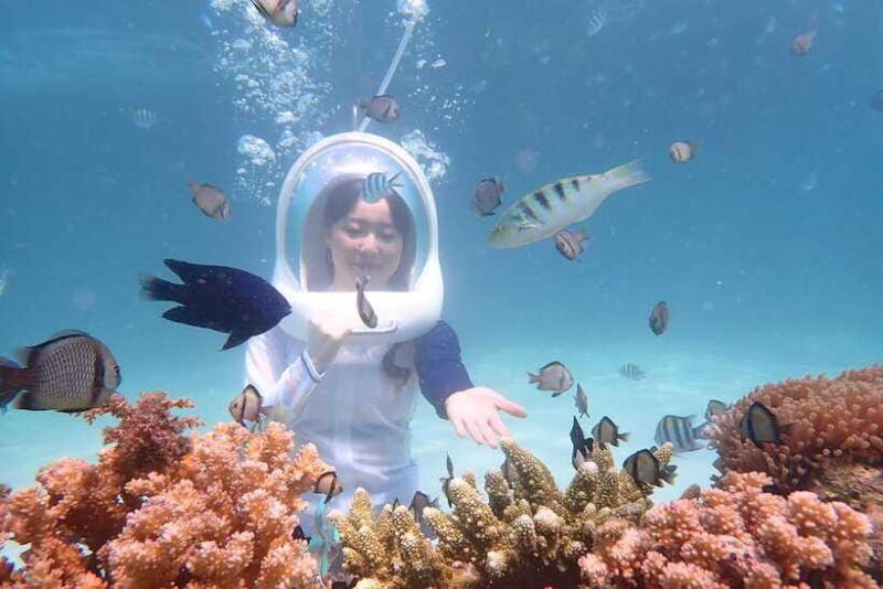 panglao-helmet-diving-experience-with-photos-and-videos