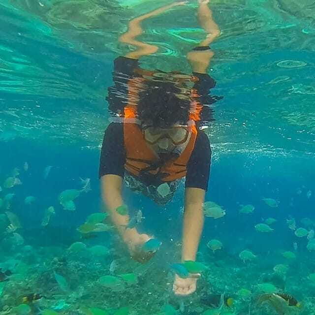 panglaobalicasag-island-tour-with-turtle-dolphin-watching