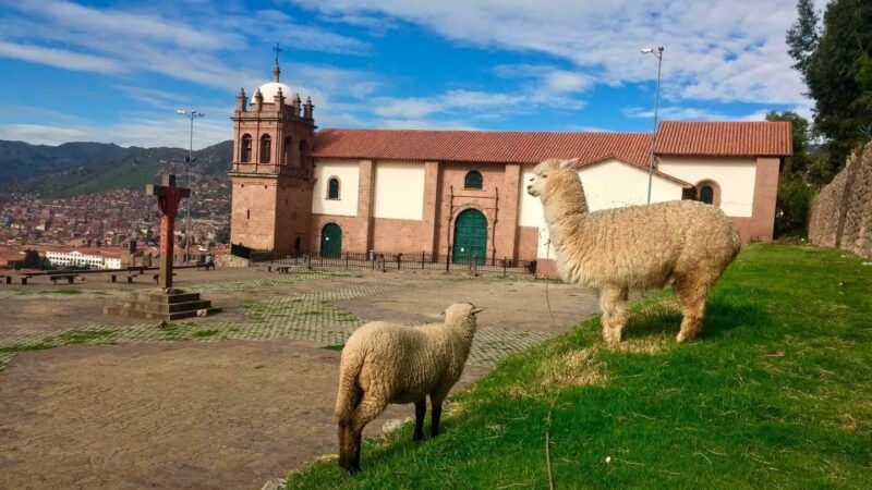 panoramic-tour-of-cusco-with-folkloric-show-cusco-with-family