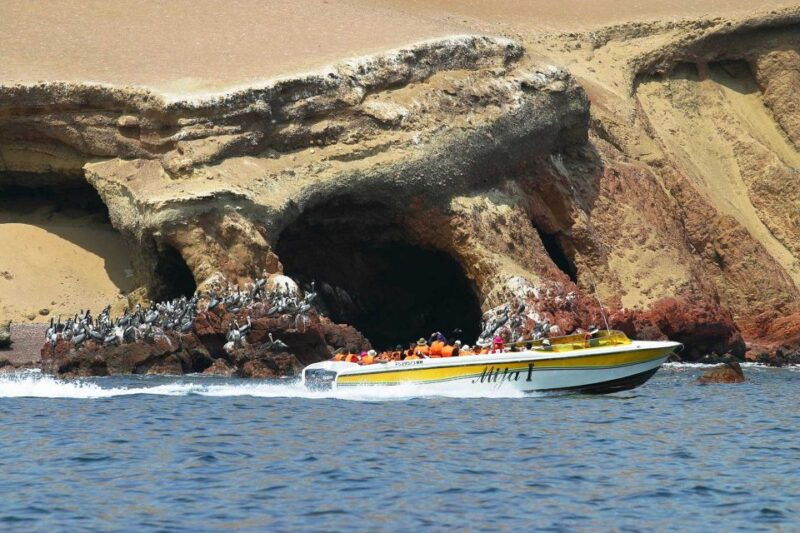 paracas-islands-huacachina-oasis-in-ica-adventurewildlife