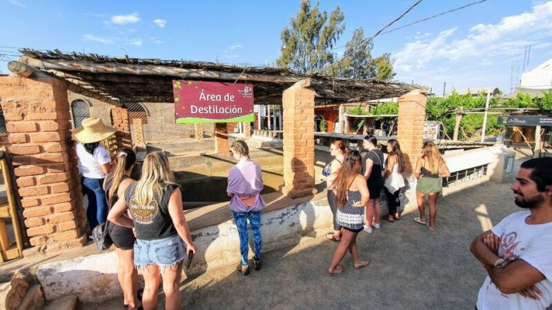 paracas-or-pisco-private-huacachina-oasis-tour-buggy-ride