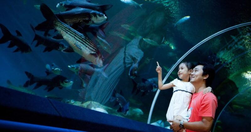 pattaya-underwater-world-pattaya-aquarium-admission-ticket