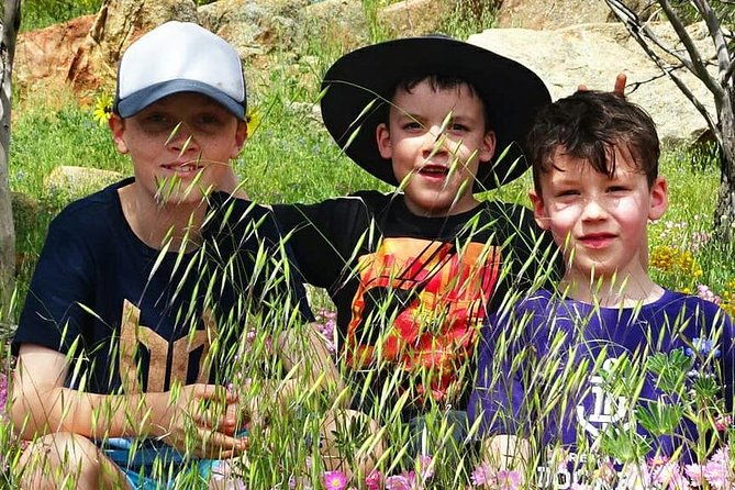 Perth Kids Explorer Private Day Tours - What’s Included and What You Should Budget For