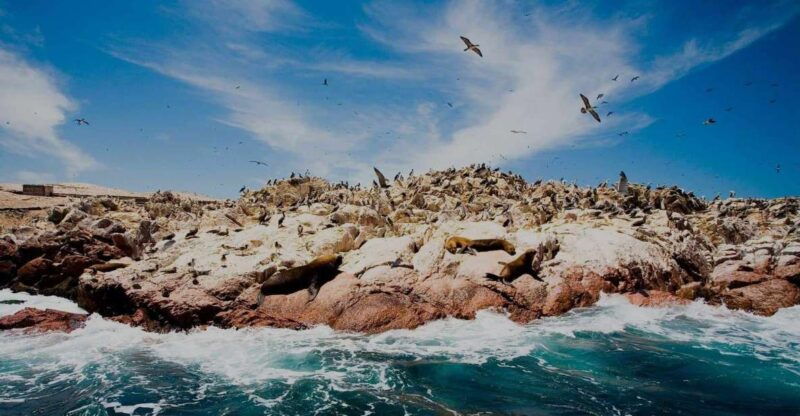 peru-7-day-package-huacachina-oasis-and-machu-picchu