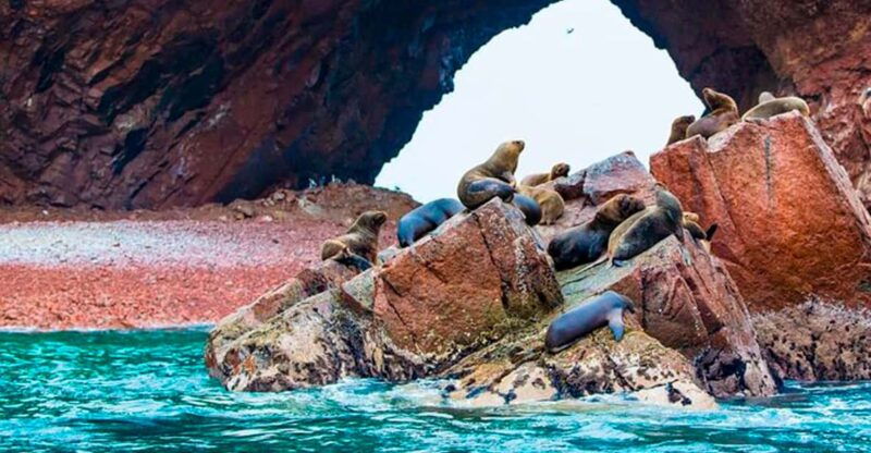 peru-and-bolivia-16-days-15-nights-2