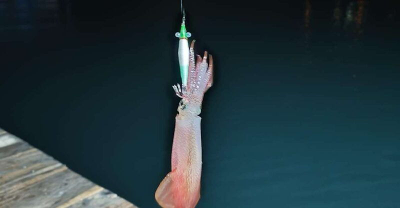 phu-quoc-squid-fishing-tour-with-sunset-views-dinner