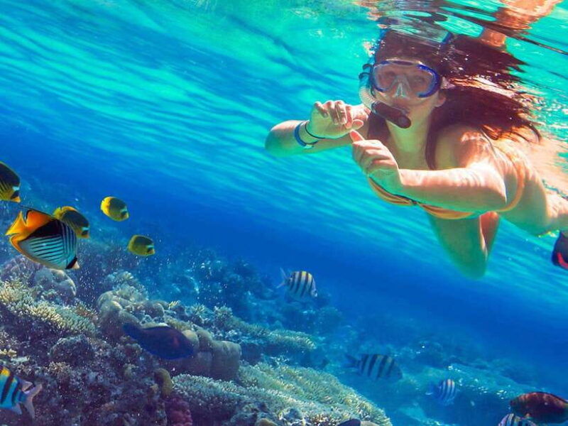 phuket-3-khai-islands-snorkeling-tour