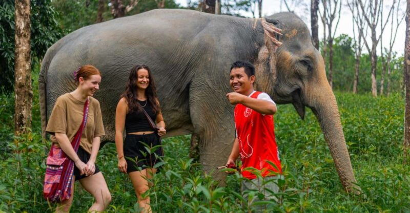 phuket-elephant-sanctuary-small-group-tour-in-khao-lak