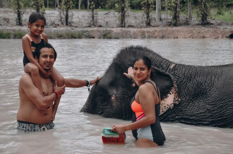 phuket-half-day-or-2-hour-ethical-elephant-care-sanctuary