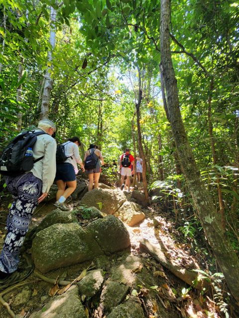 phuket-lookouts-tour-with-lunch-at-organic-farm
