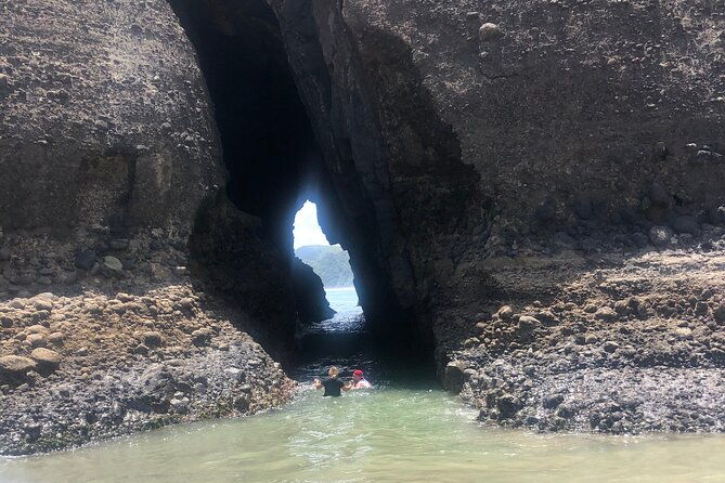 Piha Beach - Piha Beach’s Highlights  