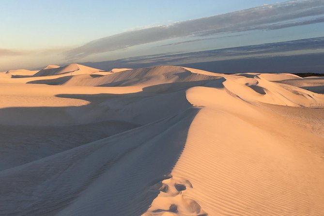 Pinnacles Desert Private Tour - Who Would Love This Tour?