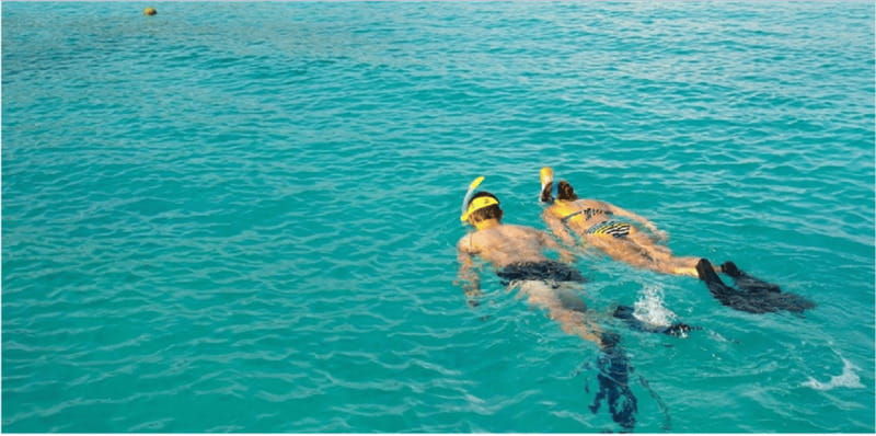 playa-del-carmen-snorkel-tour-at-local-reef