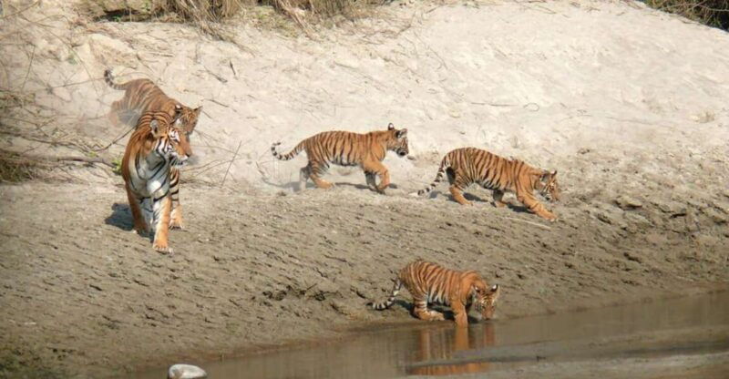 pokhara-1-night-2-day-chitwan-safari-tour