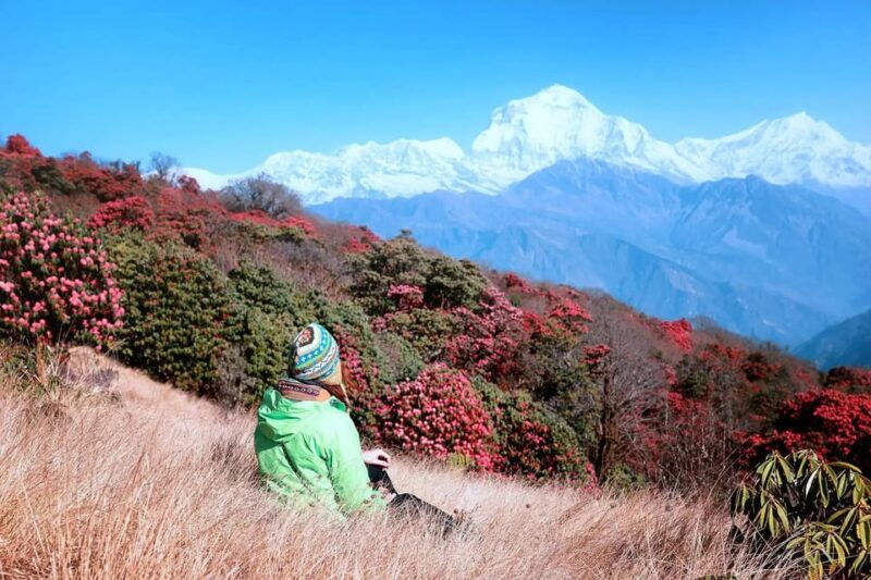 pokhara-2-day-ghorepani-poon-hill-trek-with-sunrise-views