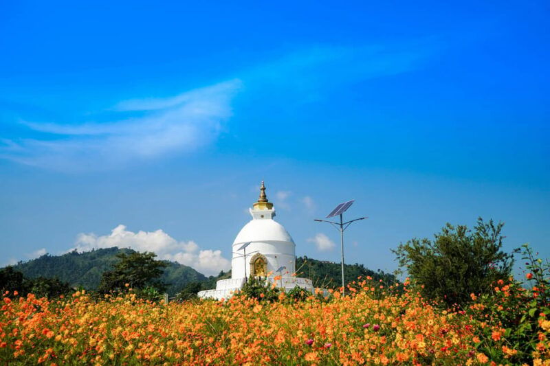 pokhara-day-tour-private-car