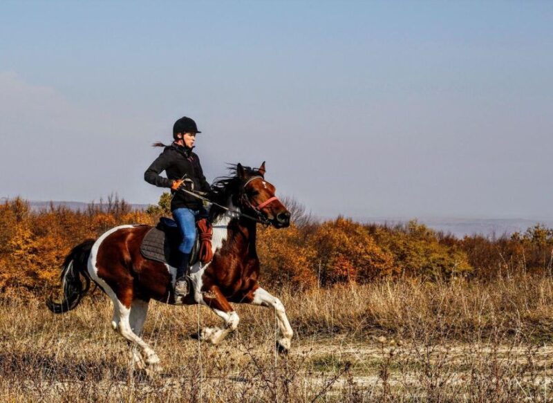 pokhara-horseback-adventure